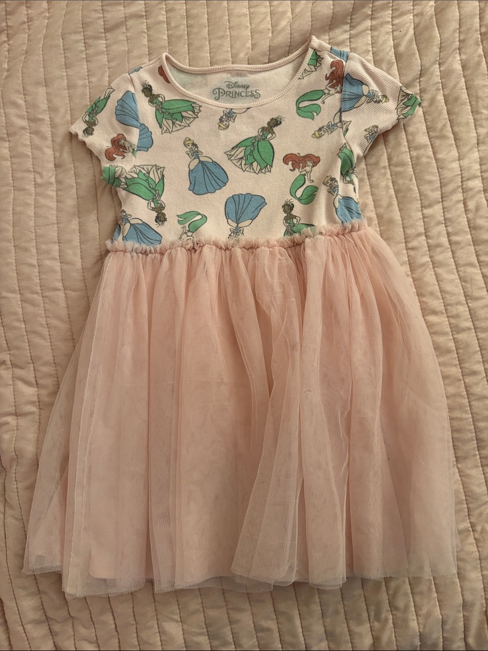 Disney Princess Pink Tulle Dress with White & Green Character Top